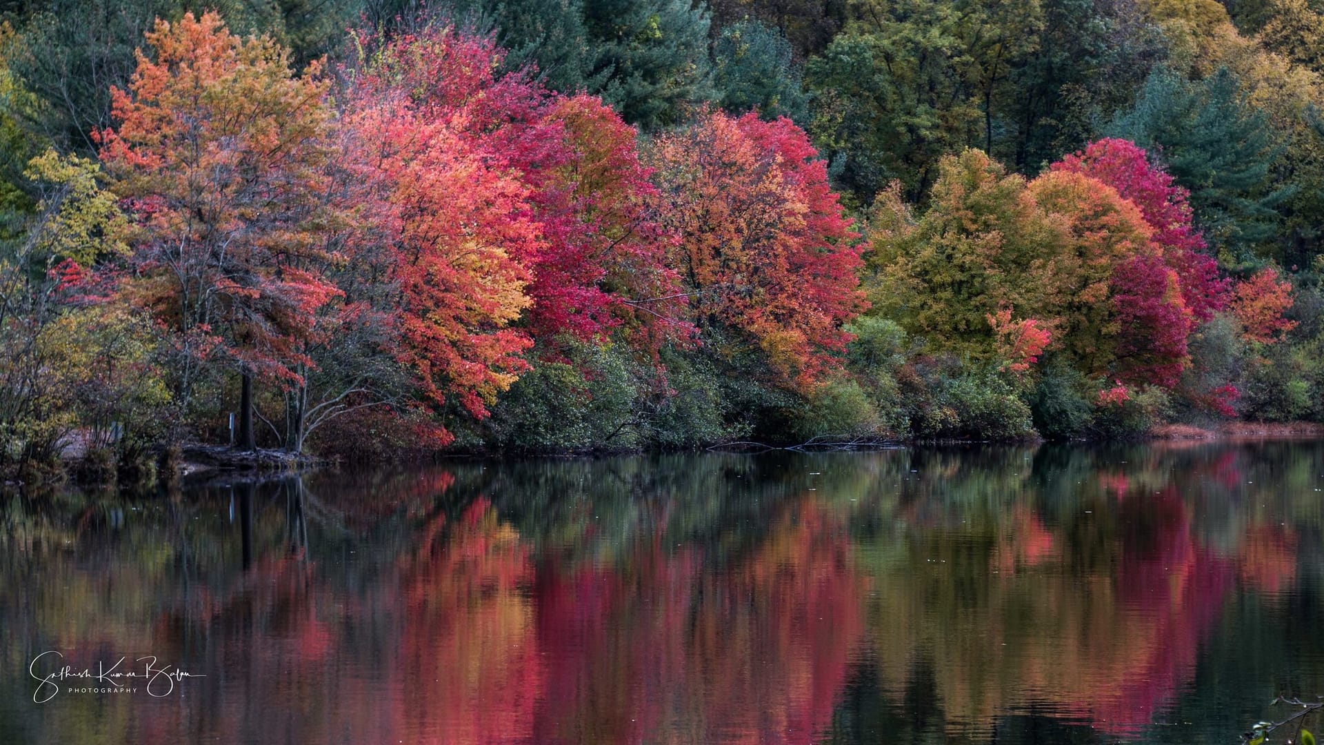 Fall colours on the water